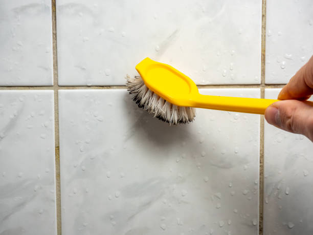 Best Black Mold Remediation in Coldspring, TX