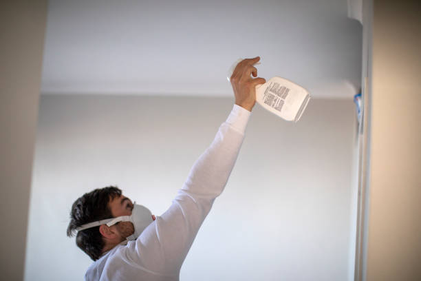 Best Basement Mold Remediation in Coldspring, TX
