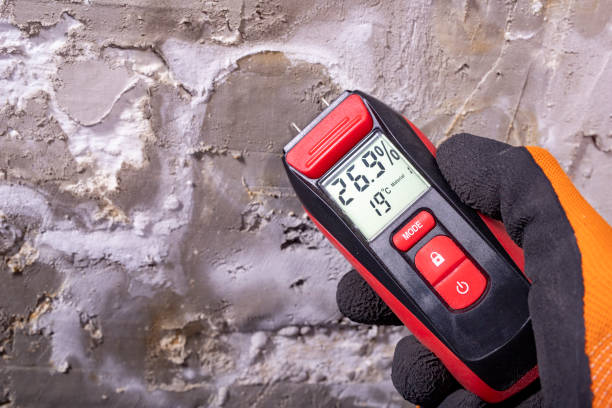 Best Post-Flood Mold Remediation in Coldspring, TX