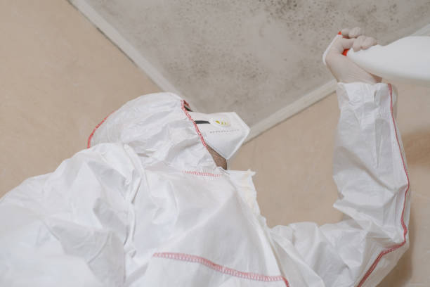 Best Bathroom Mold Remediation in Coldspring, TX